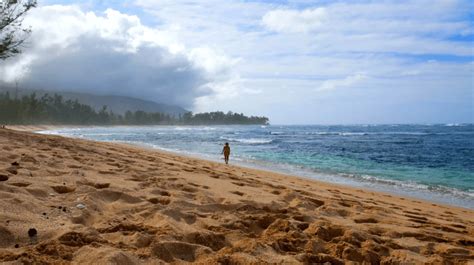 nude beach oahu|Oahu Clothing Optional Beaches: A Guide to Nudity and Nature